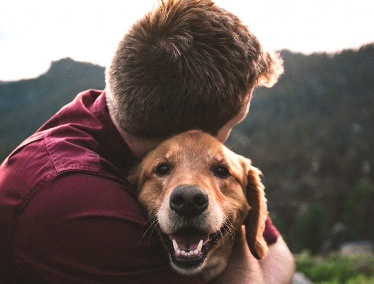 Conoce los beneficios de tener una mascota en casa