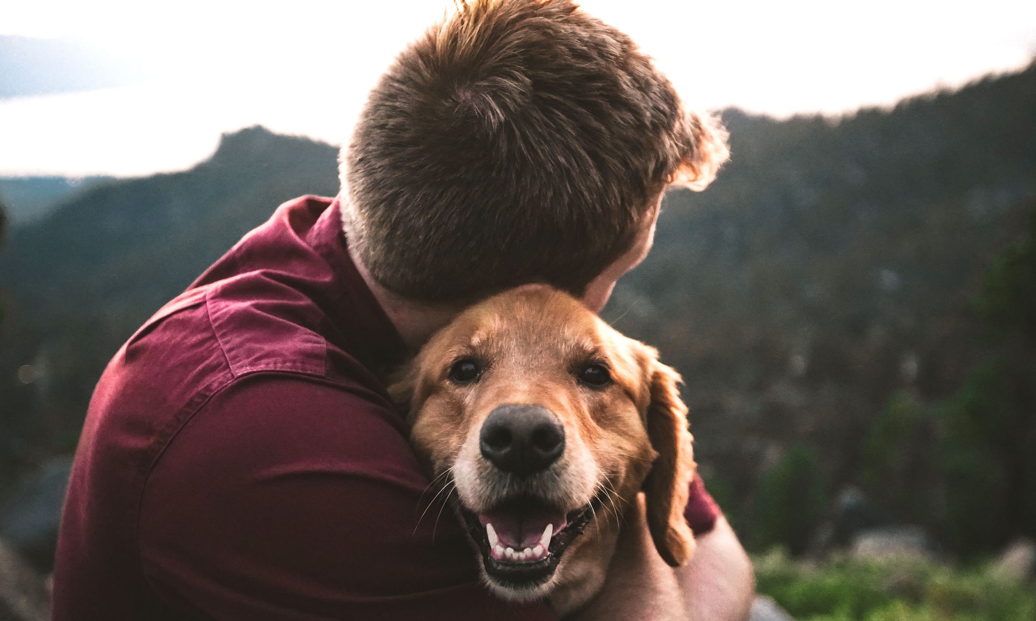 Beneficio-emocional-de-tener-una-mascota-en-casa