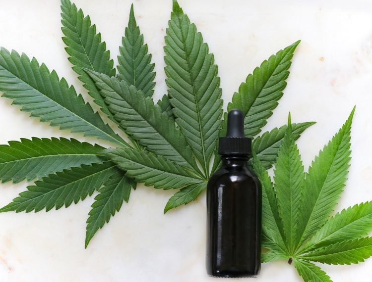 ¿Conoces los beneficios que el CBD tiene para la salud?