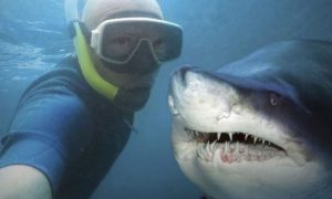 jovenes que arriesgan sus vidas por likes