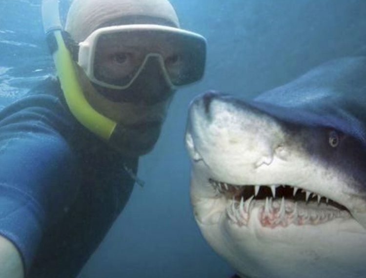 Nueva tendencia en las redes sociales: Selfies mortales