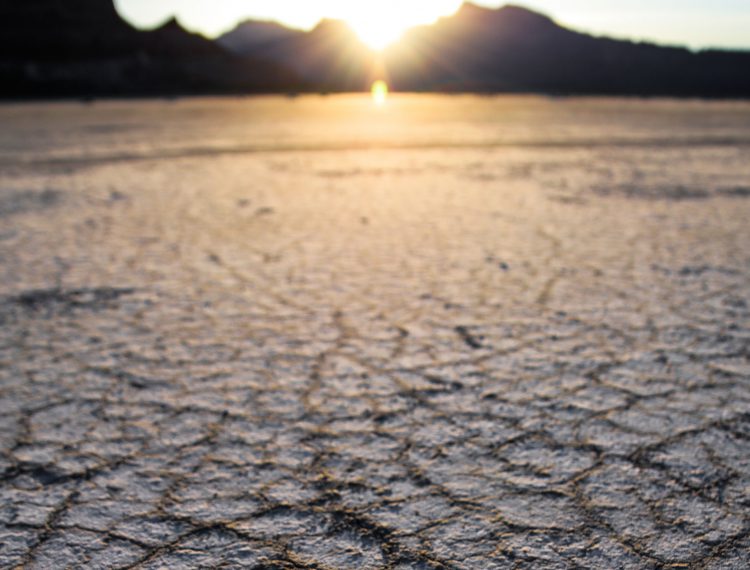 3 Alimentos comunes en peligro de extinción por el cambio climático